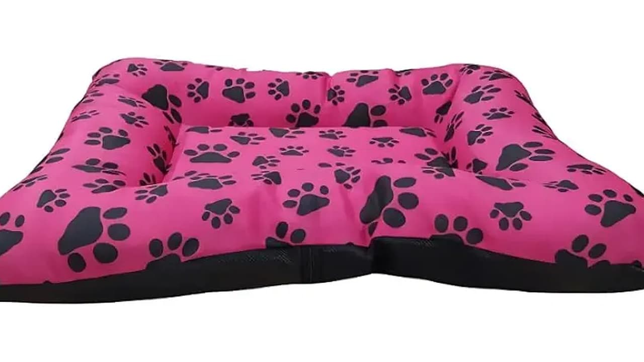 Melhor Caminha de Cachorro: Guia Definitivo para Comforto