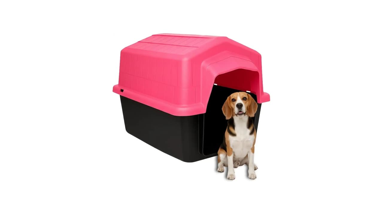 Melhor Casa para Cachorro: Top 10 Modelos para 2026