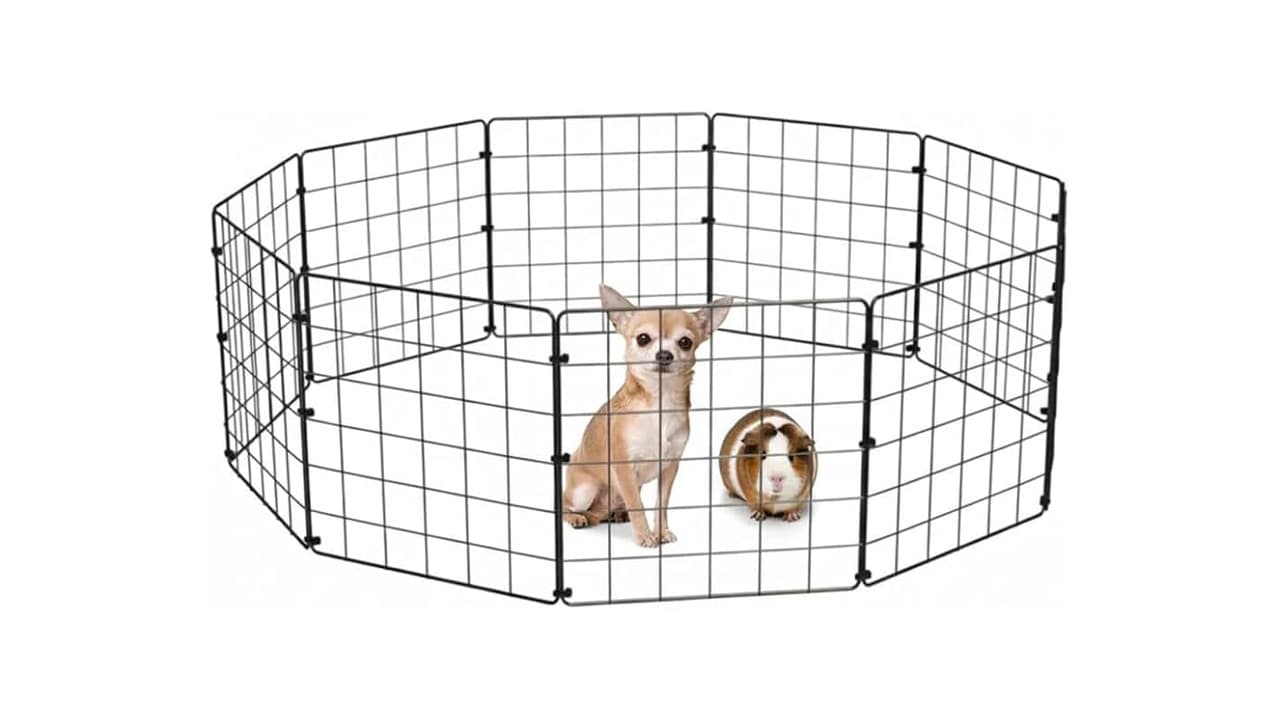 Melhor Cercado para Cachorro: Guia Definitivo de Segurança