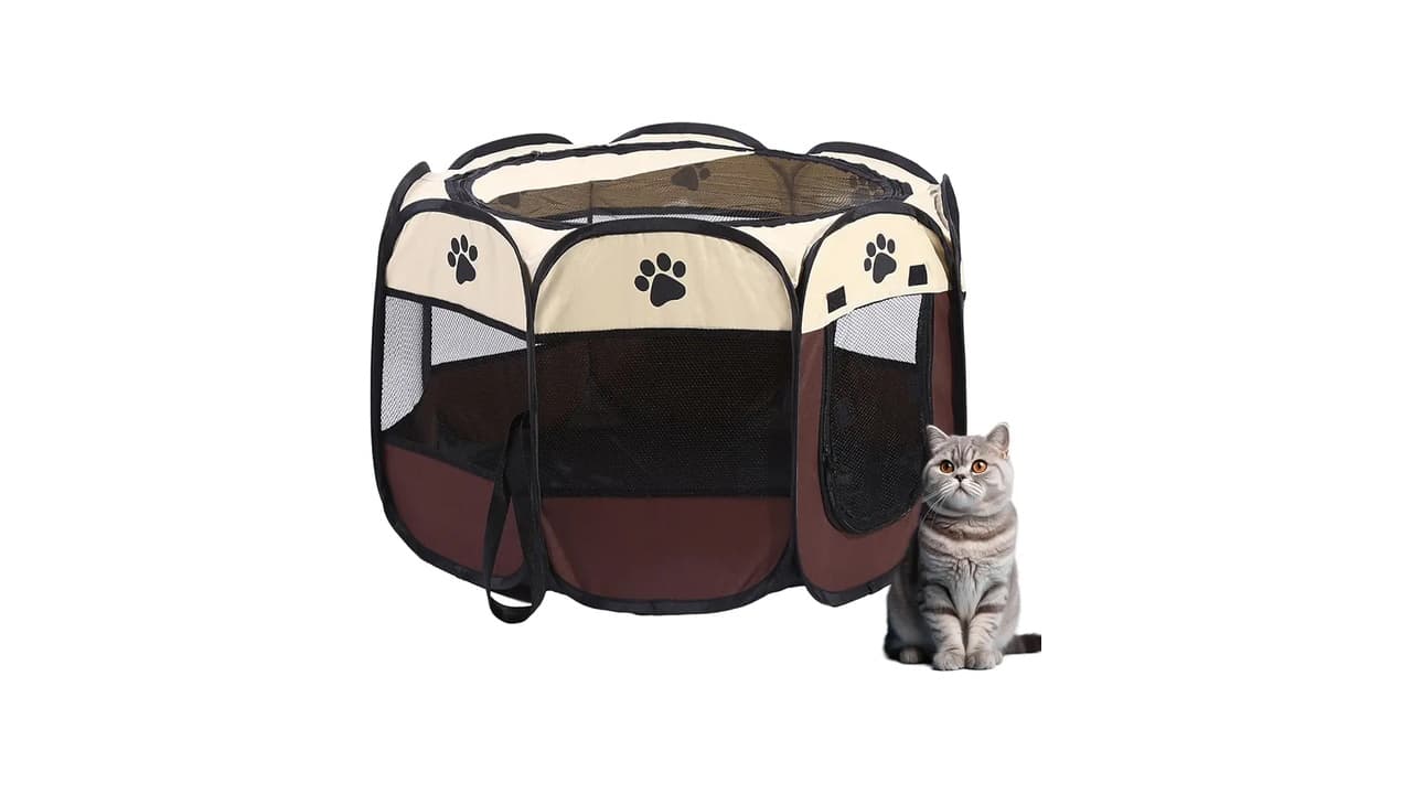 Melhor Cercado para Gato: Como Escolher o Ideal?