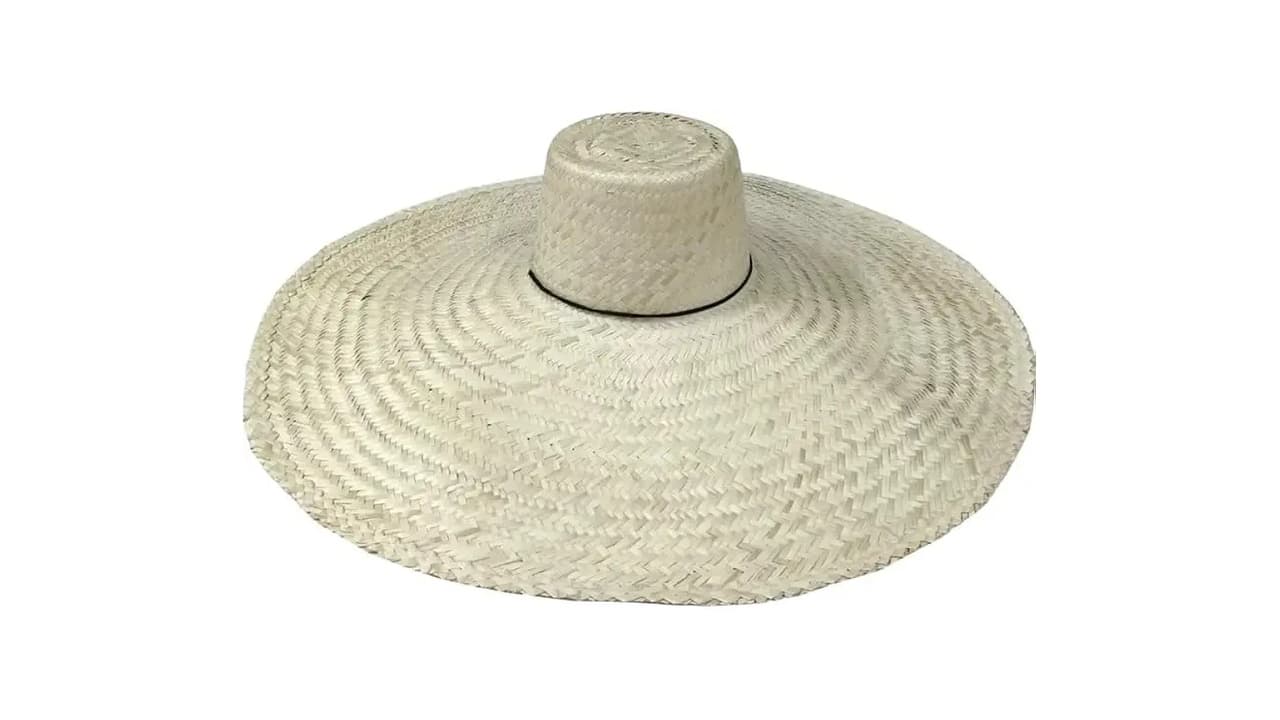 Melhor Chapéu de Palha: Guia para Proteção e Estilo
