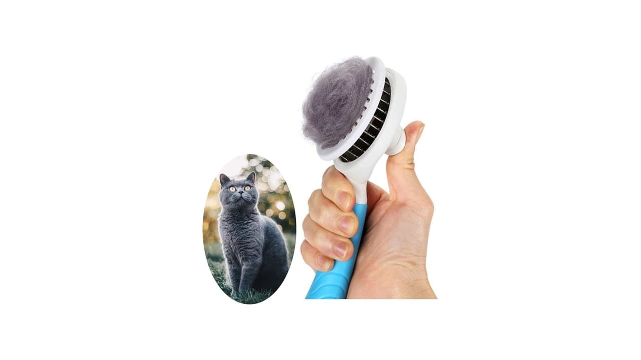Melhor Escova para Gato: 10 Modelos para Pelagem Saudável