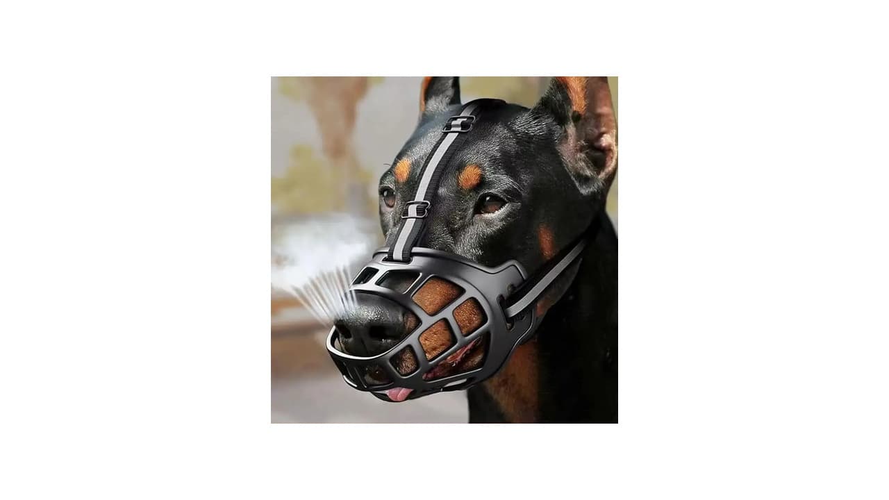 Melhor Focinheira para Cachorro: 10 Modelos para Segurança e Conforto