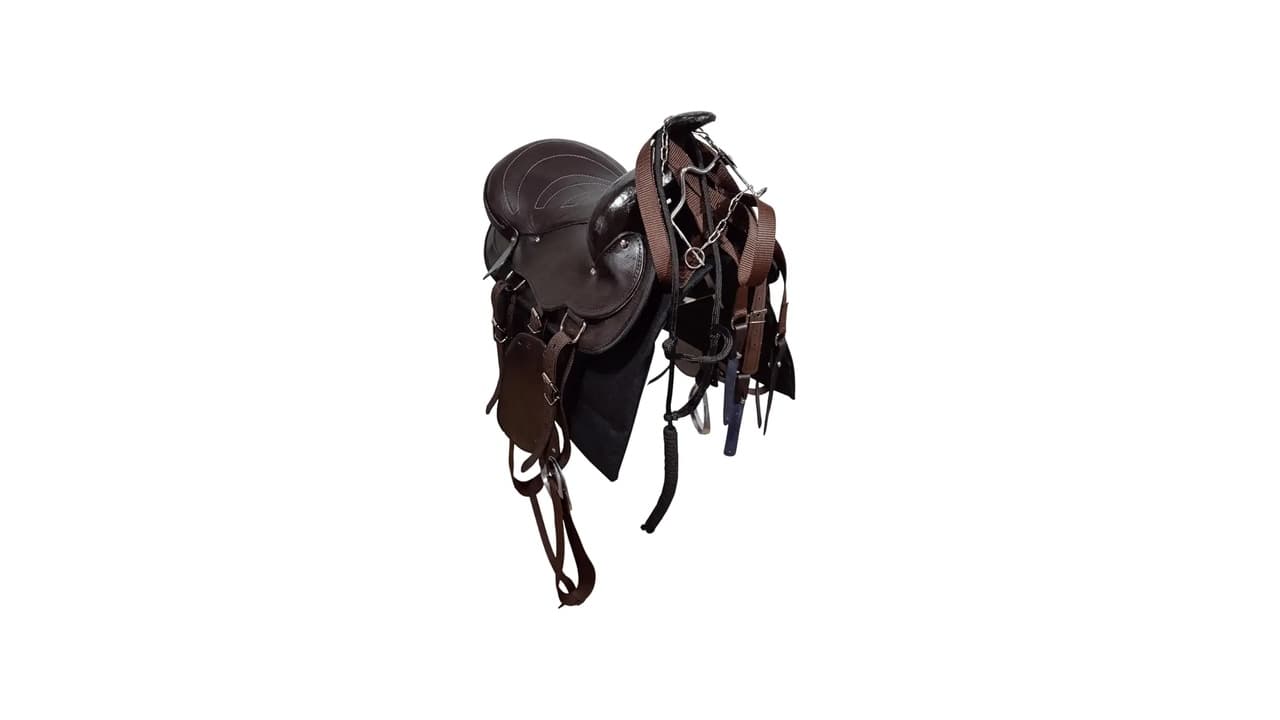 Qual a Melhor Sela para Cavalo? Top 7 Modelos para Montaria Completa