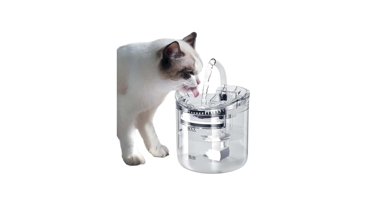 Melhor Fonte de Água Automática para Gato: 9 Opções Silenciosas e Eficientes