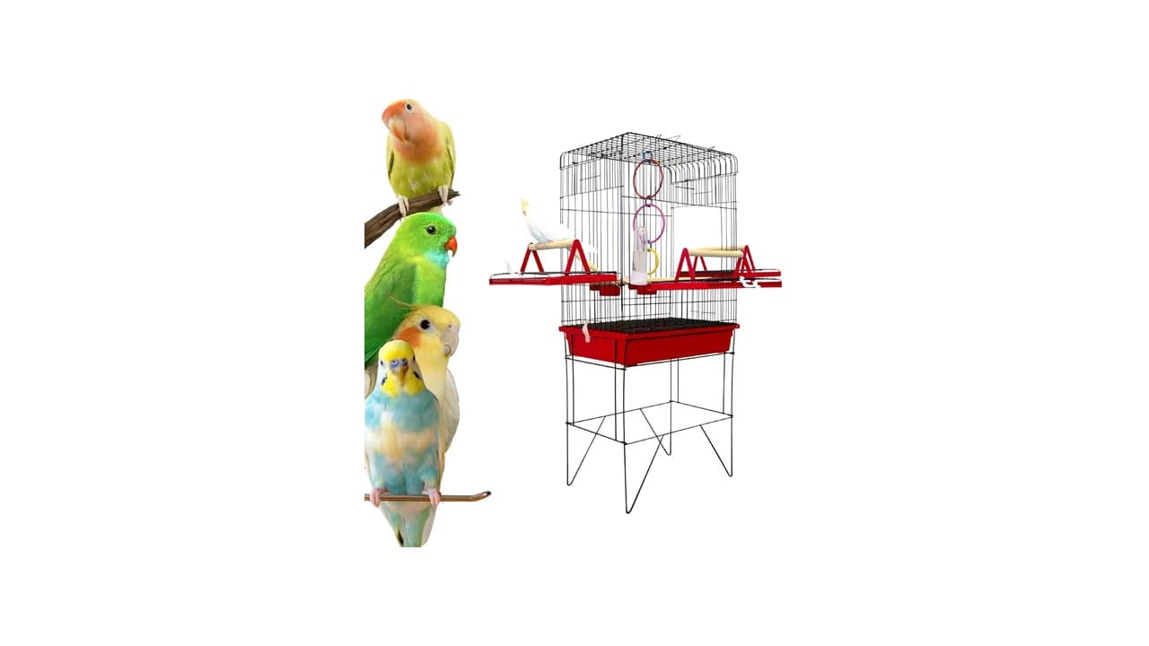 Melhor Gaiola para Calopsita: 10 Modelos para Escolha Perfeita