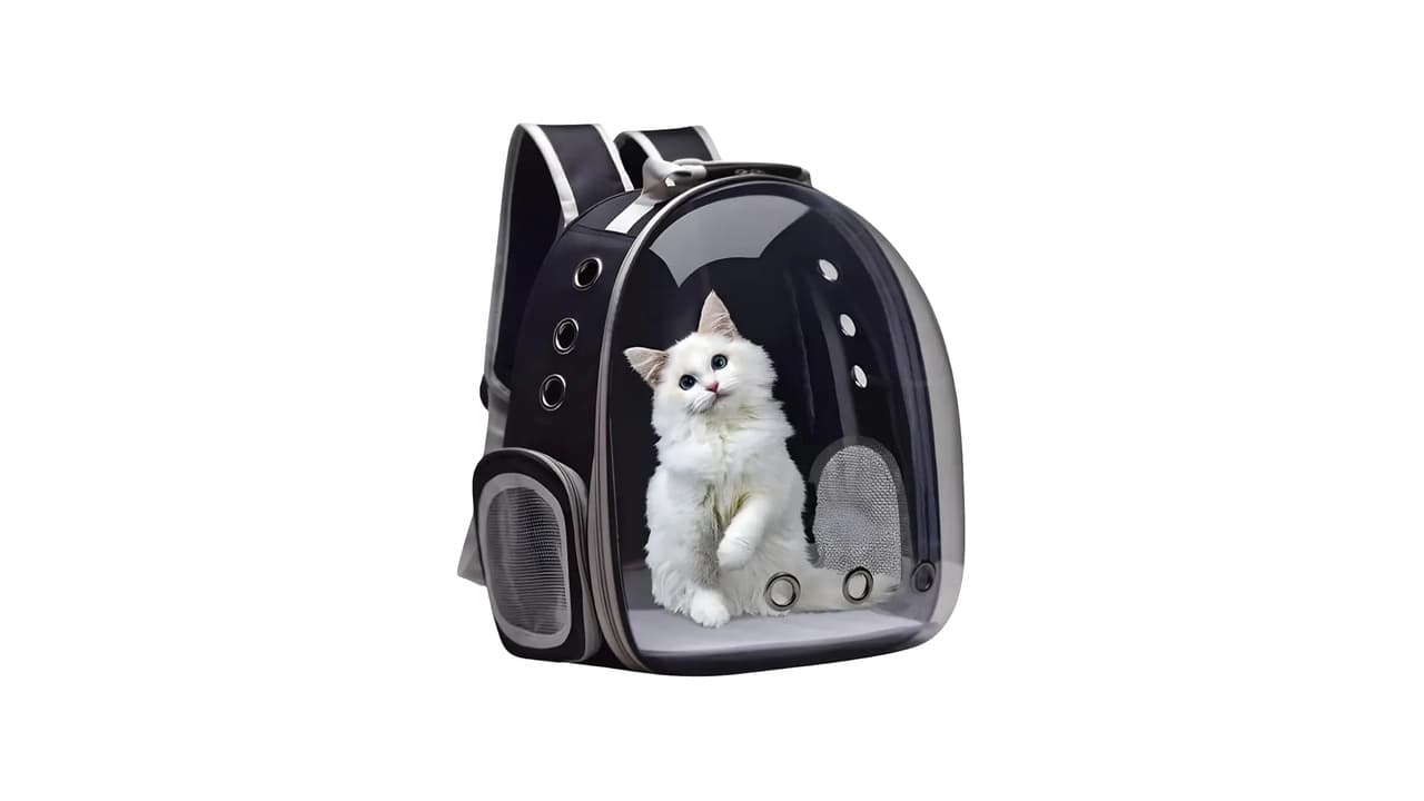Melhor Mochila Transparente para Gato: 7 Opções Seguras e Confortáveis