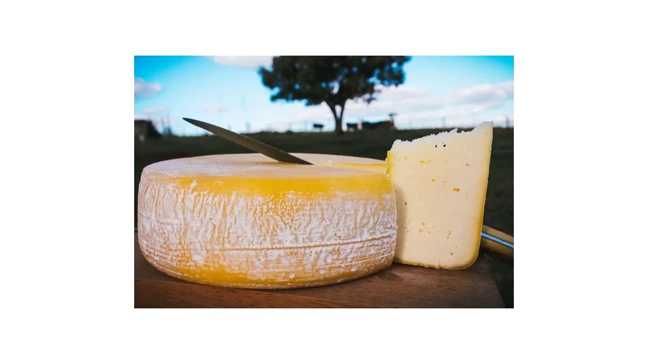Melhor Queijo de Minas: Qual Escolher? Guia Completo